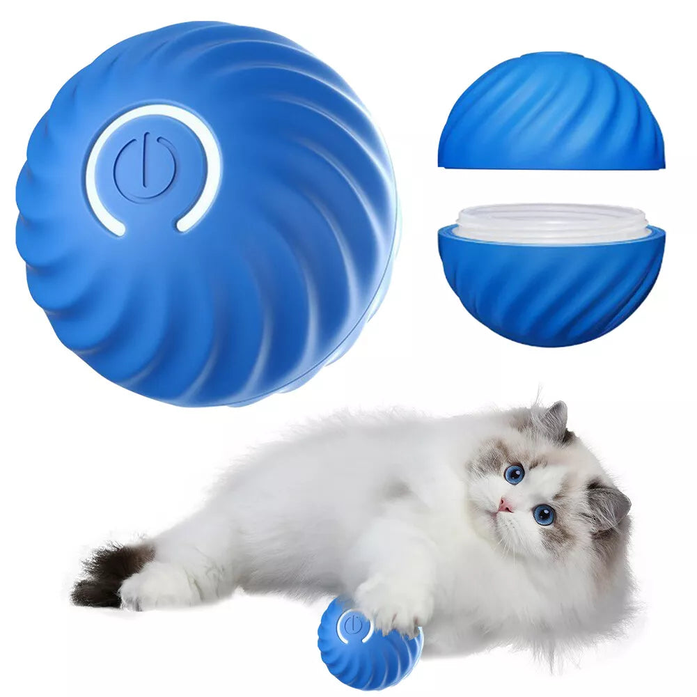 🐾 PounceBall® – der selbstrollende Spielball