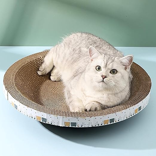 🐾 CozyBox® – der perfekte Kartonspaß für Katzen