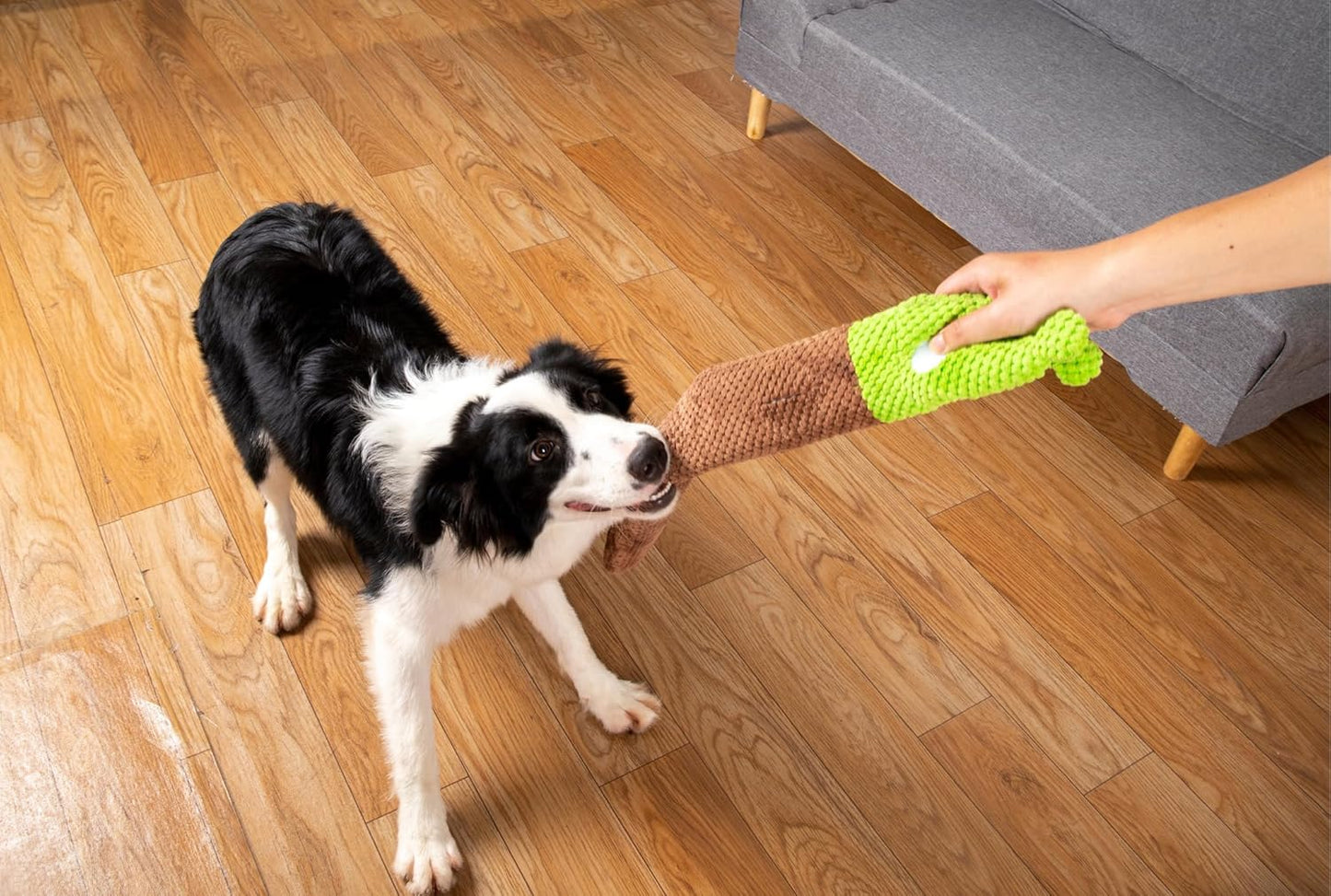 🐾 SnailSnack® – das interaktive Leckerli-Spielzeug für schlaue Hunde