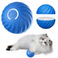 🐾 PounceBall® – der selbstrollende Spielball