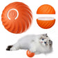 🐾 PounceBall® – der selbstrollende Spielball